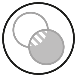 Polarized Grey Lens